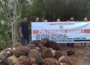 Petani Kelapa Sawit Pulpis Berharap Presiden Cabut Larangan Ekspor CPO