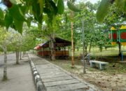 Sport Center  Katingan Kumuh, Warung Liar Mulai  Bertaburan