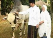 Presiden Jokowi akan Salat Iduladha 1444 H di Istana Yogyakarta Bersama Masyarakat