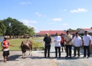 Berbagi Sesama, Hari Raya Idul Adha Polda Kalteng Qurban 22 Sapi dan 3 Kambing