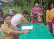 Pemdes Hurung Tampang Ajak Warganya Kembangbiakan Ternak Babi