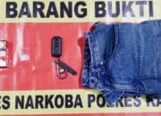 Bawa Narkoba, Warga Pulau Telo  Diamankan Polisi