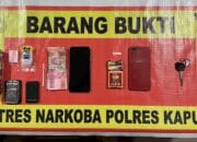 Satresnarkoba Polres Kapuas Amankan 5 Budak Sabu