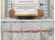 Akibat Bawa 10 Ribu Butir Obat, Wanita Asal Katingan Diamankan
