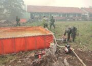 Tanggulangi Karhutla, Personil Korem 102/Pjg Berjibaku Padamkan Api