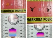 Budak Dan Pengedar Sabu Dimainkan Satresnarkoba Polres Kapuas