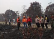 Pj Bupati Barito Timur Pantau Lokasi Kebakaran Hutan dan Lahan di Desa Pulau Patai