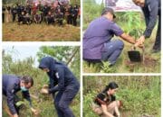 Polda Kalteng Tanam 1.000 Bibit Buah, Maknai HUT Humas Polri Ke-72