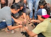 Resnarkoba Polres Seruyan Amankan Pengedar Narkoba