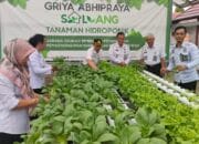 Tanaman hidroponik Bapas Muara Teweh di Apresiasi Dinas Ketahanan Pangan dan Perikanan Barito Utara