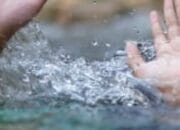 Seorang Warga Hilang Diduga Jadi Korban Buaya Das Sebangau