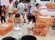 Pemdes Bulau Ngandung Salurkan 45 Ekor Ternak Babi, 150 Ayam dan 3.000 ekor Ikan