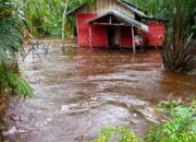 Puluhan Rumah di Desa Jaar Barito Timur Dilanda Banjir