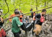 Tim SAR Gabungan Temukan Seorang Pria Meninggal Dunia di Pesisir Hutan Manggrove