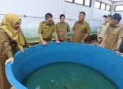 Pj Bupati Pulang Pisau Hj Nunu Andriani Meninjau Lokasi BBI di Desa Gohong