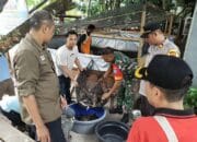 Disaksikan Camat Dan Kapolsek, Kades Timpah Panen Ikan Lele