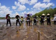 Danrem 102 Tanam Perdana Padi Optimalisasi Lahan Rawa Kawasan Food Estate