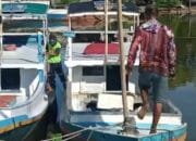 Resah Keberadaan Buaya, Nelayan Tanjung Dewa dan Batakan ke Sungai
