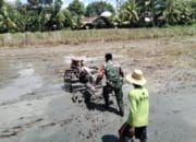 Babinsa Batang Alai Selatan Bantu Petani Bajak Sawah