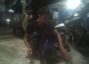 Iba Keberadaan Kucing Liar, Seorang Pemuda Berikan Uang Gajihnya