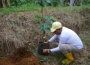 DPRKPLH Tala Ingin Masyarakat Kelak Nikmati Hasilnya