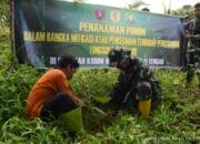Mitigasi Bencana Tanah Longsor Dan Banjir, Kodim HST Tanam Ratusan Pohon
