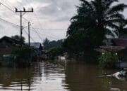 Banjir Landa Pemukiman Warga Kecamatan Jorong, Dinsos Kalsel Turun Tangan