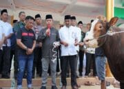 Jelang Idul Adha 1445 H, Pj Bupati Deddy Serahkan 135 Ekor Hewan Qurban