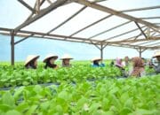 Jadi Primadona, Desa Wisata Batulicin Irigasi Wakili Kalsel ke ADWI 2024