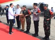 Sambut kedatangan Presiden Joko Widodo di Kalimantan Tengah.