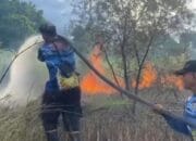 Bejibaku Padamkan Karhutla, Empat Hektar Lahan Terbakar