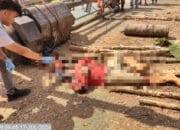 Seorang Pekerja Proyek Perbaikan Jalan Tewas, Kasusnya Ditangani Polisi