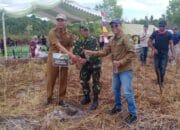 Peduli Lingkungan, PT. STP Bersama Warga Hijaukan Lahan di Lahei Mangkutup