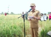 Tekhnologi di Bidang Pertanian Harus Ditingkatkan, Ini Kata Bupati Barsel