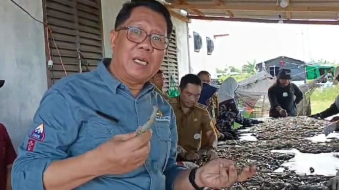Musim Hujan, Produktivitas Udang Vaname di Kalteng Meningkat Signifikan