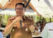 Selamatkan Terumbu Karang Kalteng, Dislutkan Genjot Program Restorasi