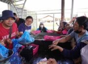 Pasar Penyeimbang Ikan: Upaya Tingkatkan Konsumsi dan Atasi Stunting