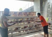 Dukung Ketahanan Pangan, WBP Rutan Palangka Raya Ternak Ayam Petelur