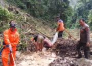 Dua Korban Tanah Longsor Belum Ditemukan, Tim Sar Gabungan Terus Berupaya