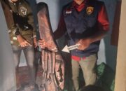 Tak Terima Ditegur, SP Nekat Tembak Tetangganya Gunakan Senapan Angin