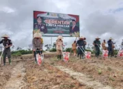 Dukung Asta Cita Presiden, Pj. Bupati Herson Tanam Jagung Bersama Forkopimda Gumas