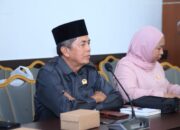 Maksimalkan Pendapatan Daerah, DPRD Kalteng Siapkan Langkah Konkret