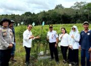 Stabilkan Harga Cabai Selama Ramadhan, DKPP Barut Dukung Program P2L
