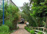Usulkan Pelebaran Jalan Turunan di Samping Jembatan Sei Tewei, Suparjan Efendi: Insyah Allah Tahun 2025