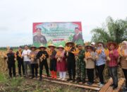 Ketahanan Pangan, Brimob Polda Kalteng Gelar Panen Raya Jagung