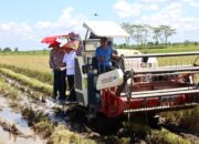 Kapolda Kalteng Bersama Gubernur Agustiar dan Forkopimda Panen Raya Padi di Pulang Pisau