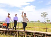 Presiden Prabowo Tekankan Pentingnya Kerja Keras dan Komitmen Bangun Ketahanan Pangan