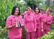 Polda Kalteng Bersama Bhayangkari Panen Ikan dan Sayuran Hidroponik