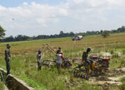 Bantu Masyarakat, Anggota Satgas TMMD HST Bajak Sawah