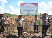 Wagub Edy Pratowo: Panen Jagung Bukti Nyata Sinergi untuk Ketahanan Pangan